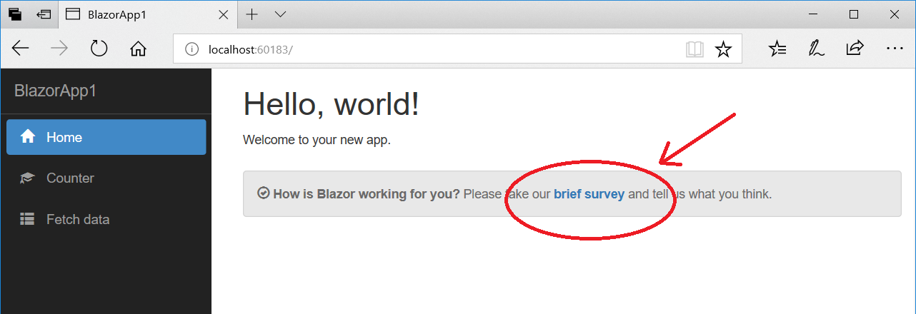 Blazor survey