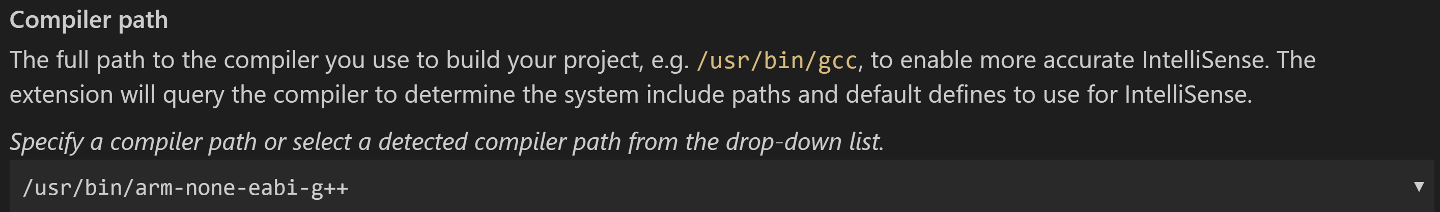 Screenshot of compiler path C++ property